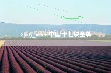 黄骅中国十七块金牌