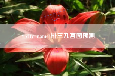 黄骅排三九宫图预测