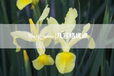 黄骅九宫格优点