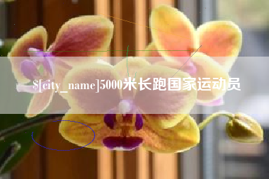 黄骅5000米长跑国家运动员