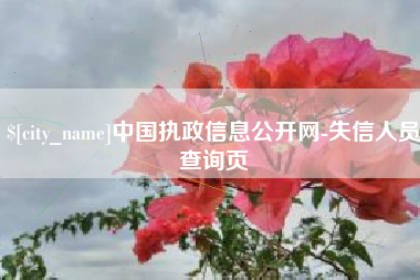 黄骅中国执政信息公开网-失信人员查询页