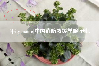 黄骅中国消防救援学院 老师