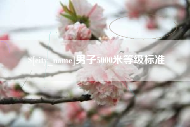 黄骅男子5000米等级标准