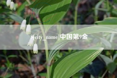 黄骅中国第9金