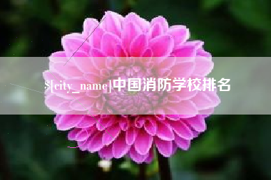 黄骅中国消防学校排名