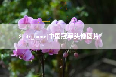 黄骅中国冠军头像图片