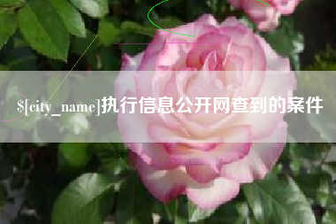 黄骅执行信息公开网查到的案件