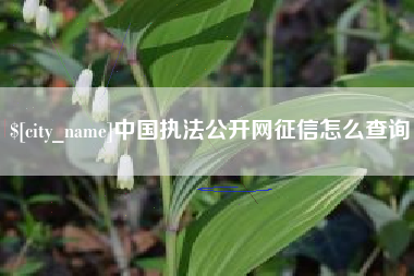 黄骅中国执法公开网征信怎么查询