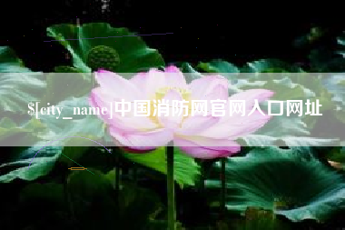 黄骅中国消防网官网入口网址