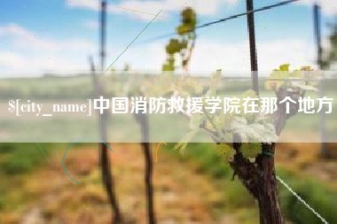 黄骅中国消防救援学院在那个地方