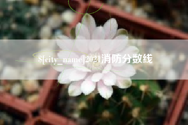 黄骅2021消防分数线