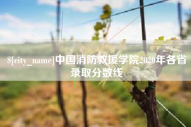 黄骅中国消防救援学院2020年各省录取分数线