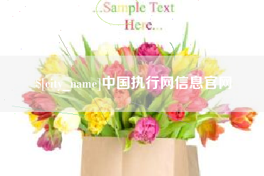 黄骅中国执行网信息官网