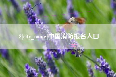 黄骅中国消防报名入口