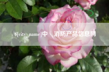 黄骅中囯消防产品信息网