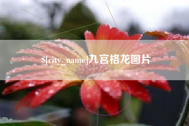 黄骅九宫格龙图片