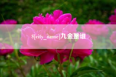 黄骅九金是谁