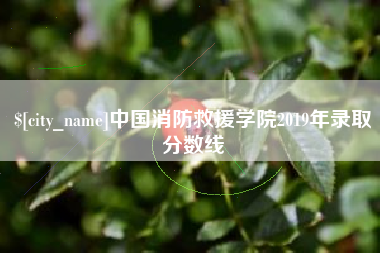 黄骅中国消防救援学院2019年录取分数线