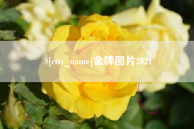 黄骅金牌图片2021