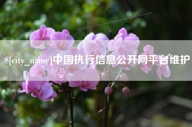 黄骅中国执行信息公开网平台维护