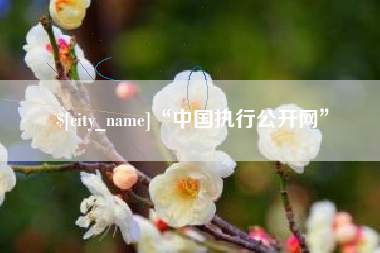 黄骅“中国执行公开网”