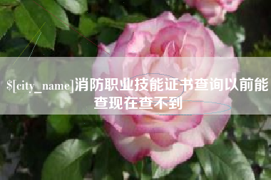 黄骅消防职业技能证书查询以前能查现在查不到