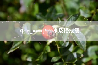 黄骅5000米及格成绩