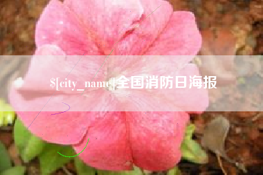 黄骅全国消防日海报