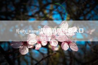 黄骅国家消防报名入口
