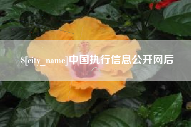 黄骅中国执行信息公开网后