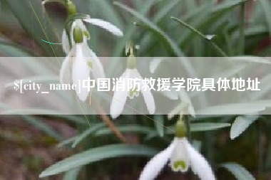 黄骅中国消防救援学院具体地址