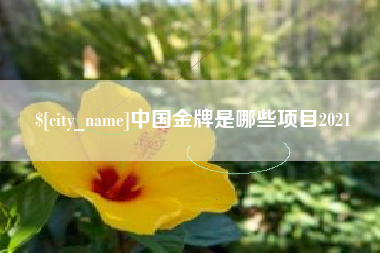 黄骅中国金牌是哪些项目2021