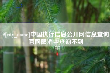 黄骅中国执行信息公开网信息查询官网限消中查询不到