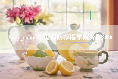 黄骅中国消防救援学院分数2020