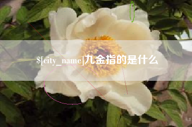 黄骅九金指的是什么