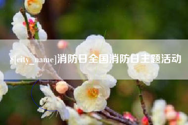 黄骅消防日全国消防日主题活动