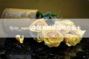 黄骅中国消防学院排名前十