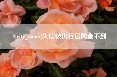 黄骅失信被执行官网查不到