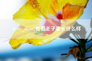 黄骅看看王子豪长什么样