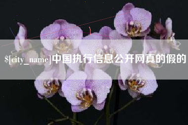 黄骅中国执行信息公开网真的假的