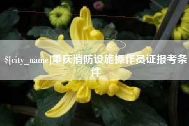黄骅重庆消防设施操作员证报考条件