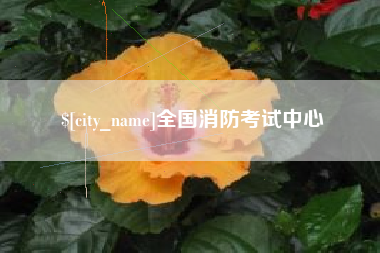黄骅全国消防考试中心