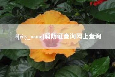 黄骅消防证查询网上查询