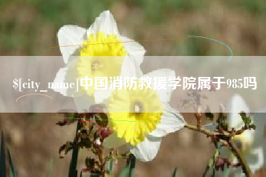 黄骅中国消防救援学院属于985吗
