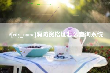 黄骅消防资格证怎么查询系统