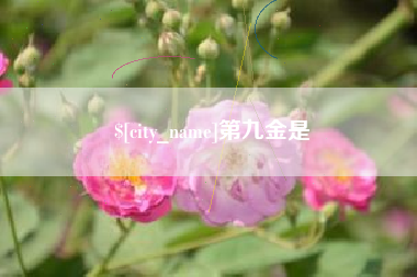 黄骅第九金是