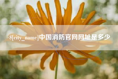 黄骅中国消防官网网址是多少