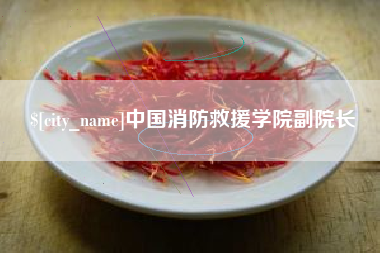 黄骅中国消防救援学院副院长