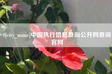 黄骅中国执行信息查询公开网查询官网
