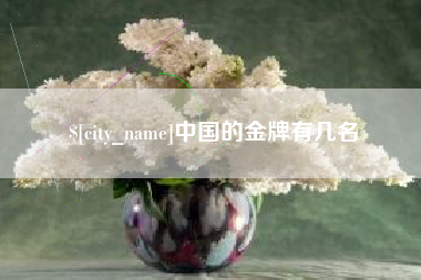 黄骅中国的金牌有几名